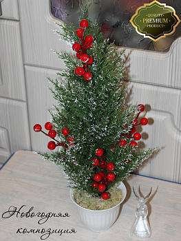 Ель в кашпо