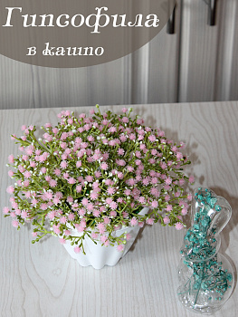 гипсофила в кашпо