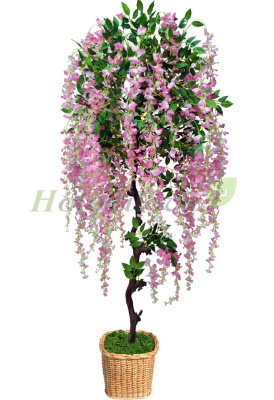 Картинка с сайта