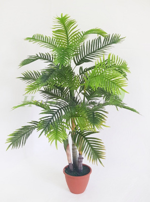 Картинка с сайта