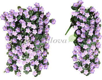 Картинка с сайта