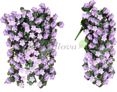 Картинка с сайта