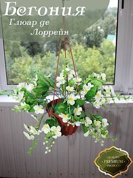 Цветы в подвесном кашпо